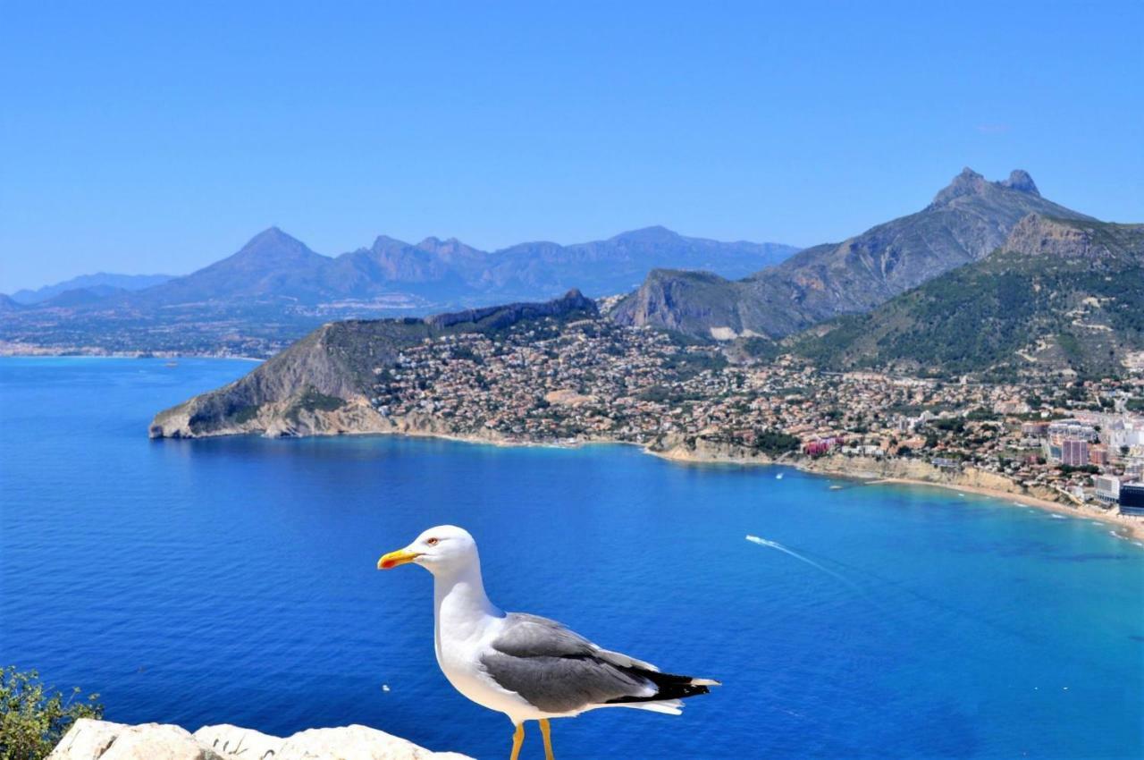 Mirador * Calpe